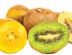 Manfaat Buah Kiwi Bagi Kesehatan & Kulit