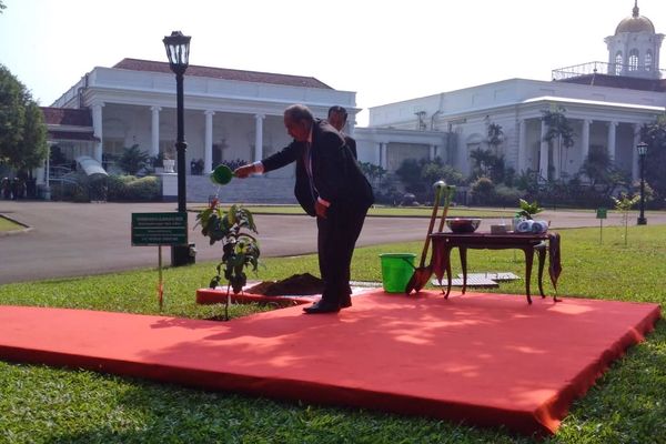 Presiden Mikronesia Temui Presiden Joko Widodo di Istana Bogor