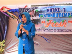 Handayani Ariza : Ayo Majukan Posyandu Remaja