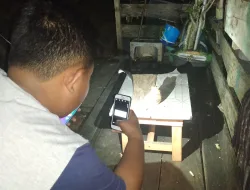 Warga Tanjungpinang Temukan Granat Jenis Nanas