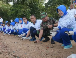 Lantamal IV Tanjungpinang Lepas Ratusan Tukik di Pantai