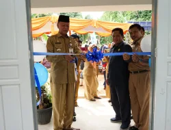 Syahrul Resmikan Dua Posyandu di Dompak dan Balai KB di Tanjungpinang Barat
