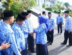 Semangat Pahlawan Di Dadaku