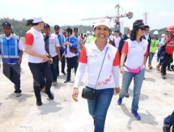 Menteri BUMN berambisi enam holding BUMN selesai tahun ini