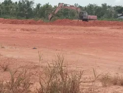 Penimbunan yang dilakukan pengembangan perumahan Sidojadi Mengakibatkan Pencemaran Lingkungan