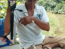 Masyarakat Perumahan Kenanga Jaya 3 di Hebohkan muncul sekor buaya Raksasa Yang Muncul di Lokasi Perumahan