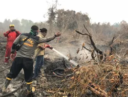 MAHASISWA KEHUTANAN UNRI TURUN BANTU PADAMKAN KEBAKARAN