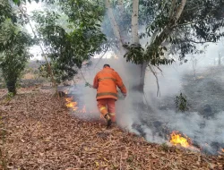 Januari hingga Februari 2021, DPKP Tanjungpinang Tangani 46 Kasus Kebakaran