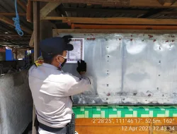 Polsek pangkalan lada gencar penempelan Maklumat Kapolda Kalteng