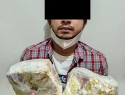 DIT RESNARKOBA POLDA KEPRI BERHASIL AMANKAN DUA ORANG TERSANGKA TINDAK PIDANA NARKOTIKA