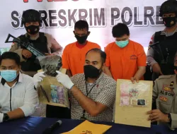 Polres Bintan Tangkap Bandar Sijie