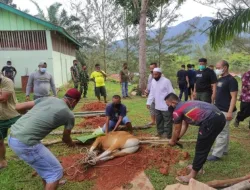 Tahun Ini, Kodim 0318/Natuna Potong 13 Ekor Sapi untuk Qurban