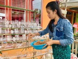 MENUJU PENERAPAN 4 SEHAT 5 SEMPURNA  DI DESA MAJELIS HIDAYAH