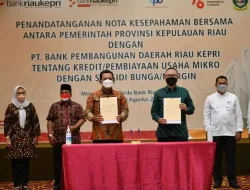 Berikan Pinjaman Lunak Bagi Usaha Mikro Tanpa Bunga