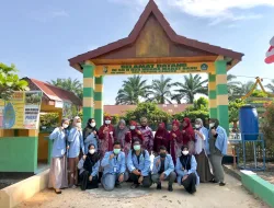 Penyuluhan Program Berbasis Web