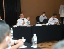 Gubernur Kepri Dukung Pengembangan Energi Listrik Alternatif di Kepri