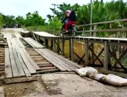Terkait Jembatan di Desa Pulau Kecil, Ketua DPRD Ferryandi: Sudah Kita Anggarkan 15 Milyar