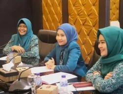 Kembali Rajut Komunikasi, Hafizha Optimis PKK Bintan Siap Bangkit