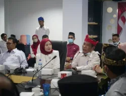 Dipercaya Jadi Ketua PMI Bintan, Hafizha Ingin PMI Terus Eksis