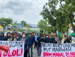 BBM Naik, HMI Pekanbaru Gelar Aksi di DPRD Riau