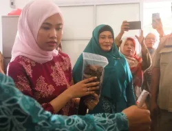 Hafizha Sebut Kerupuk Ikan Bintan Sudah Saatnya Menuju Pasar Digital