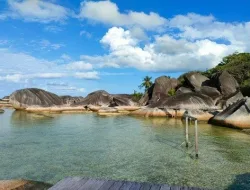 Di Natuna, Kalian Bisa Traveling Di Dalam Hutan