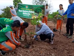 Aksi Peduli Lingkungan, Siswa SMPN 7 Tanjungpinang Tanam Pohon di Pesisir Dompak