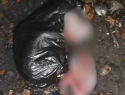 Geger! Warga Tanjungpinang Temukan Bayi dalam Plastik di Parit