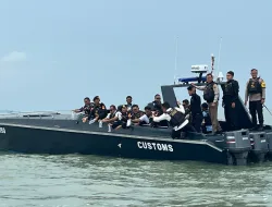 Tim Gabungan Gagalkan Penyelundupan 237 Ribu Benih Lobster di Kepri