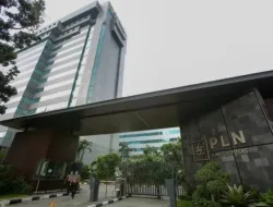 PLN Butuh Penyegaran: Menanti Perombakan dan Perbaikan di BUMN