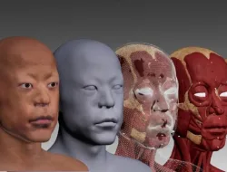 Arkeolog China rekonstruksi wajah leluhur via teknologi 3D