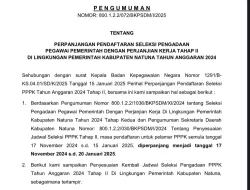 Pendaftaran Seleksi PPPK Tahap II Kabupaten Natuna Diperpanjang Hingga 20 Januari 2025
