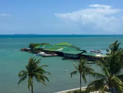 Buaya Muncul di Pesisir Resort Desa Teluk Bakau, Pengelola dan Warga Diminta Waspada