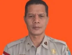 BPBD Anambas Fokus Antisipasi Pohon Tumbang untuk Hadapi Bencana Tahun 2025