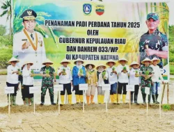 Pemprov Kepri Perkuat Ketahanan Pangan dengan Tanam Perdana Padi di Natuna