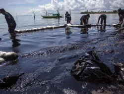 Pencemaran Minyak Hitam Terjang Pesisir Bintan, Wisata dan Nelayan Terdampak