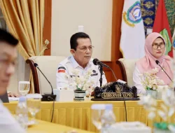 Gubernur Ansar Usulkan Diskresi ke Mendagri Demi Optimalkan Penataan Non-ASN di Kepri