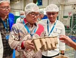 PT. Free The Sea Batam Dikenalkan Wagub Nyanyang, Tinjau Inovasi Daur Ulang Sampah Plastik