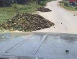 Warga Sitiung Empat Protes PT incasi raya group mengirimkan Material penimbunan jalan gunakan tanah dan berbatu