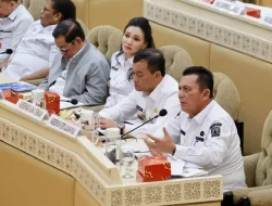 Gubernur Ansar Dorong Pengesahan UU Provinsi Kepulauan di RDP Komisi II DPR RI