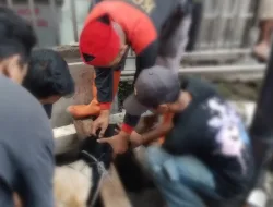 Dibalik Makna dan Manfaat Qurban