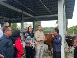 LKKS dan Pemkab berhasil Himpun 22 Ekor Hewan dari berbagai donatur Termasuk Sapi Presiden Prabowo