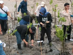 UMRAH Tanam 1.000 Mangrove di Selat Satu Gurindam: Warisan Hijau untuk Masa Depan