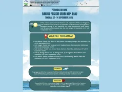 BMKG Prediksi Banjir Rob di Kepri Awal September, Masyarakat Diminta Waspada