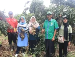 Wabup Dharmasraya Tinjau Ketahanan Pangan di Nagari Kurnia Selatan