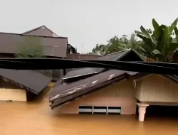 Tim Gabungan Evakuasi Warga Terdampak Banjir di Tolitoli, Sulteng