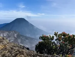TNGGP Tutup Sementara Jalur Pendakian Mulai 13 Oktober untuk Aksi Bersih dan Evaluasi Tata Kelola