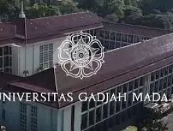 Guru Besar UGM Sarankan Program Makan Bergizi Gratis Dikelola Kantin Sekolah, Bukan Pihak Ketiga