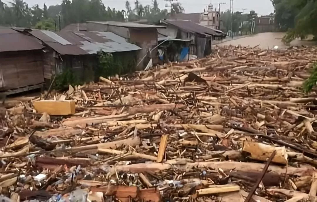 Penampakan ribuan kayu gelondongan yang terseret arus dari hulu ke hilir di bencana banjir Sumatra.