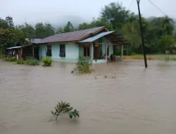 BNPB: Korban Tewas Banjir Sumatra Tembus 1.135 Orang, Ribuan Masih Mengungsi